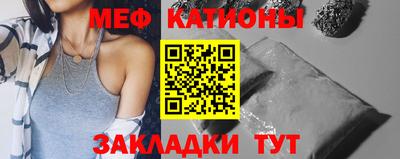 шишки Заволжье