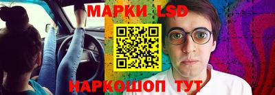 шишки Заволжье