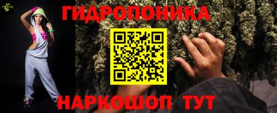 шишки Заволжье