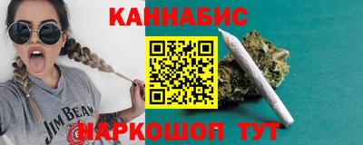 шишки Заволжье