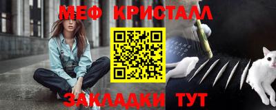шишки Заволжье