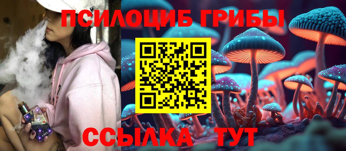 Псилоцибиновые грибы Cubensis  Псилоцибиновые грибы Psilocybine cubensis  Вход с VPN  Кемерово 