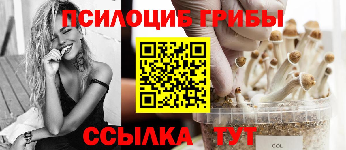 Галлюциногенные грибы ЛСД Кемерово